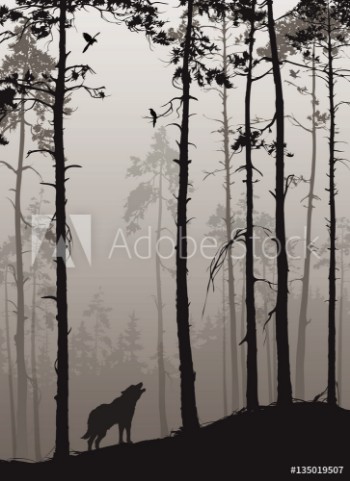 Picture of silhouette of a pine forest with wolves and birds brown colors vector illustration